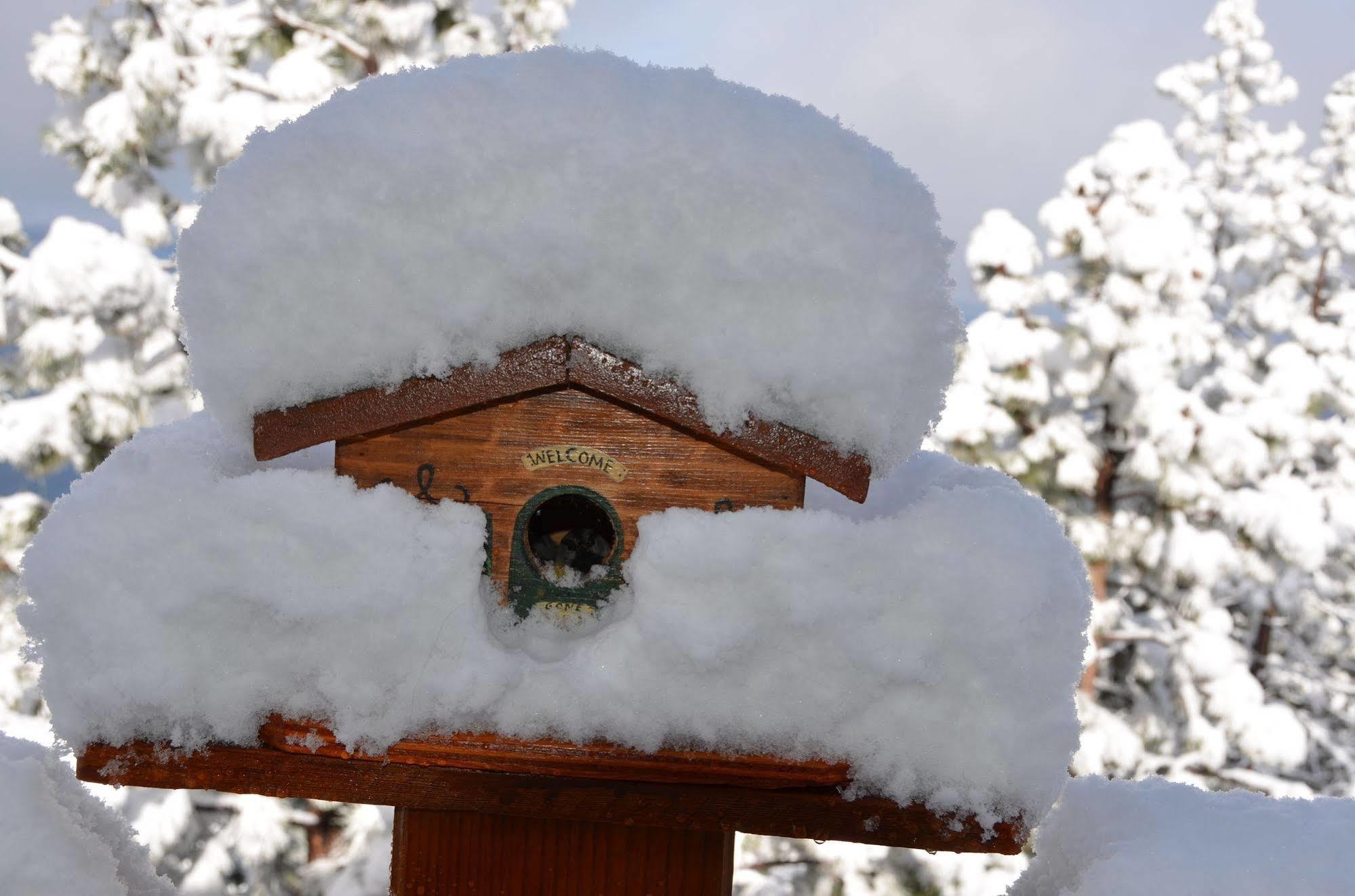 Where Eagles Fly Bed & Breakfast Elk Point エクステリア 写真